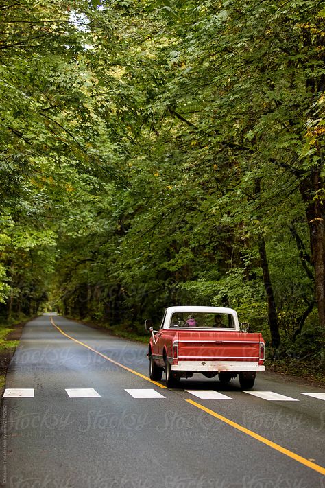 "An Old Truck Driving Down A Long Straight Road In A Deciduous Forest" by Stocksy Contributor "Christian Tisdale" - Stocksy Back Roads Aesthetic, Car Landscape, Truck Asethic, Aesthetic Truck, Truck Driving, On The Road Aesthetic, Car In The Woods, Old Car, Old Truck