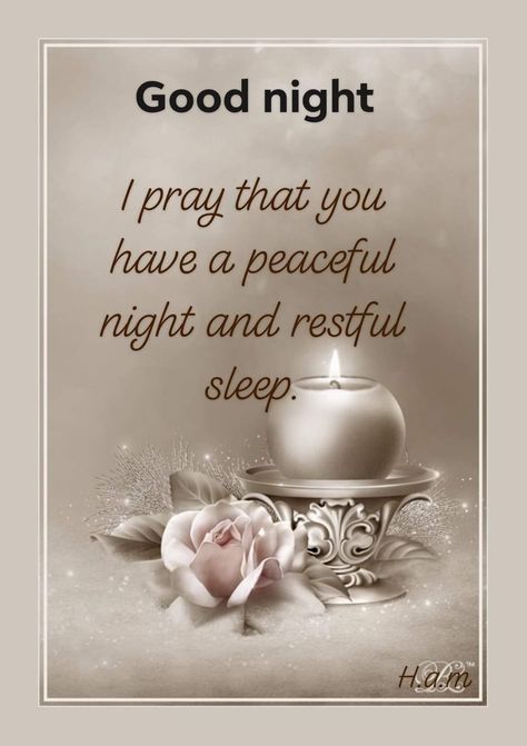 Good Night For Him, Sweet Good Night Messages, Good Morning Quotes Friendship, Good Night Cards, Good Night Cat, Good Night Prayer Quotes, Good Night Massage, Beautiful Good Night Quotes, Good Night Love Quotes