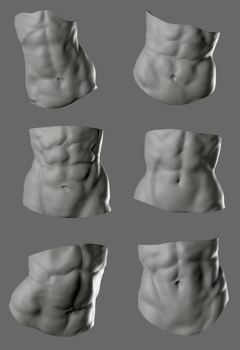 Female Anatomy Sketch, Abs Anatomy, Female Abs, 남성 근육, الفن الرقمي, Anatomy Sculpture, Anatomy Tutorial, Human Anatomy Drawing, Human Anatomy Art