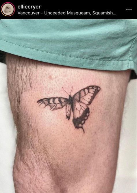 Butterfly Tattoo Guy, Holes In Butterfly Wings Tattoo, Sick Butterfly Tattoo, Landed Butterfly Tattoo, Horror Butterfly Tattoo, Messy Butterfly Tattoo, Butterfly Broken Tatoo, Wounded Butterfly Tattoo, Pinned Butterfly Tattoo