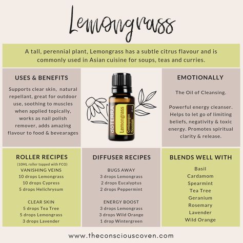 Lemongrass Essential Oil | All About Lemongrass | How to use Lemongrass Essential Oil | Lemongrass uses & benefits | Lemongrass Diffuser Blends | Lemongrass Roller Blend Recipes | Doterra Essential Oils | #doterra #essentialoils Essential Oils Lemongrass Uses, Doterra Lemongrass Uses, Lemongrass Essential Oil Benefits, Lemongrass Essential Oil Uses, Doterra Lemongrass, Doterra Essential Oils Recipes, Essential Oils Guide, Lemongrass Oil, Essential Oil Diffuser Recipes