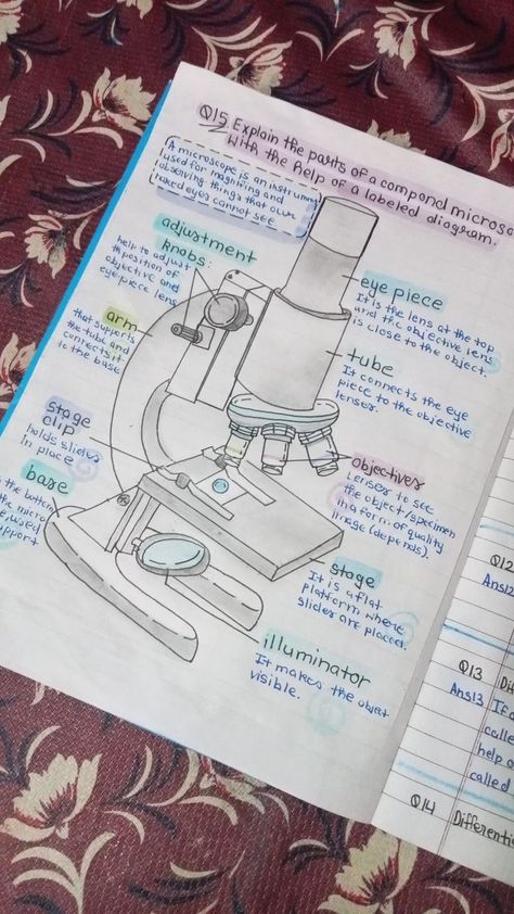 Microbiology Aesthetic Notes, Cytology Notes, Biology First Page Notebook, Bio Notes Ideas, Science Notes Biology, 8th Grade Notes, Microscope Notes, Science Notebook Ideas, Notes Of Biology