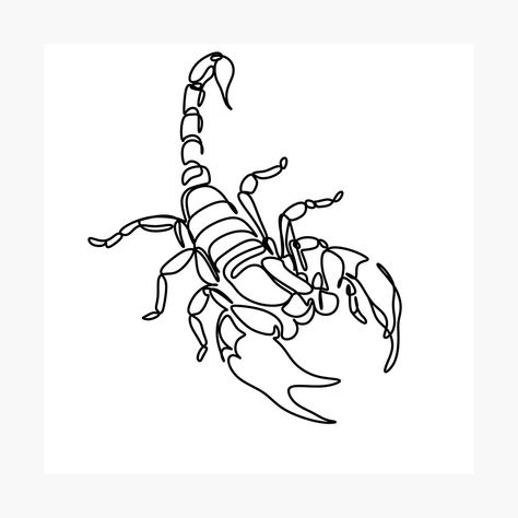 Scorpio Line Art, Scorpio Drawing, Scorpio Illustration, Continuous Line Tattoo, Scorpio Zodiac Tattoos, Zodiac Sign Scorpio, One Line Tattoo, Grunge Tattoo, Scorpio Tattoo