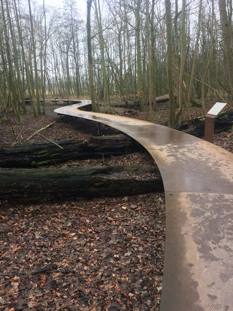 Maze Landscape Design, Floating Pathway, Pathway Architecture, Forest Landscape Architecture, Woodland Walkway, Elevated Pathway, Walkway Architecture, Floating Walkway, Path Architecture