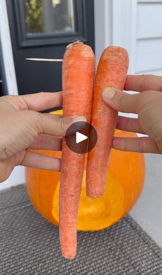 24M views · 92K reactions | funniest pumpkin ever 😂 | funniest pumpkin ever 😂 

this original video was produced by rick lax network media and brooklyn b | By Life with Coco | A big hole in a pumpkin. Next
you'll need some carrots and some toothpicks. Grab a nice
big one and put a toothpick in like that. Then get a shorter
carrot and poke that in like this. Now they'll be connected.
Add another toothpick to the shorter carrot and now time to
insert that right here. They will poke right in. Attach an
apple to the bottom. Time for some babies. Just skewer them.
Pokey pokey. Poop. Whoa. Stick this guy through and pull him
out and it should be snug. Poop. Create a little hand. Add
it to the pumpkin. Next, I have a jack-o-lantern. Just adjust
him on top. This is my pumpkin giving birth. How h Construction Pumpkin Carving, Creepy Carrots Pumpkin, Pumpkin Giving Birth, Jack O Lantern Ideas Easy, Throwing Up Pumpkin, Slimer Pumpkin, Crab Pumpkin, Easy Jack O Lantern, Pumpkin Throwing Up