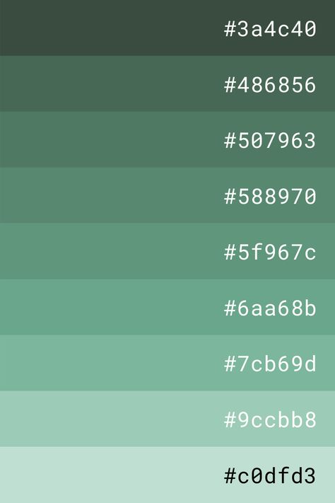 Dark Green Color Palette Hex Codes, Dark Green Hex Code, Green Color Palette Hex Codes, Color Pallete Green, Green Hex Codes, Color Palette Dark Green, Green Pallet Color, Dark Green Palette, Dark Green Color Palette