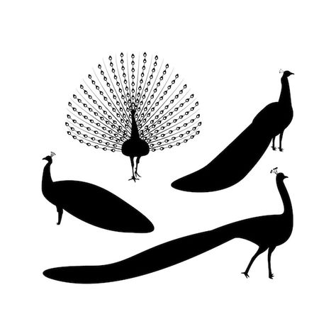 A black silhouette of a peacock with a w... | Premium Vector #Freepik #vector #tropical #nature #background #black Peacock Silhouette, Peacock Vector, Indian Logo, Tropical Nature, Nature Background, Black Silhouette, Background Black, 3d Design, Premium Vector