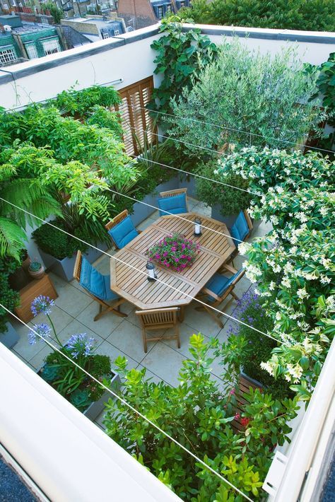 Terrace Roof, Roof Terrace Design, Roof Garden Design, Rooftop Terrace Design, Rooftop Design, Pergola Design, Small Porches, Terrace Design, Creative Gardening