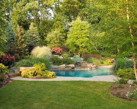 Pools In The Woods, Clearing Woods Backyard, Pool In Woods, Wooded Backyard Landscape, Landscaping Around Pool, Landscaping Pool, Wooded Area, Natural Swimming Ponds, Beautiful Landscaping