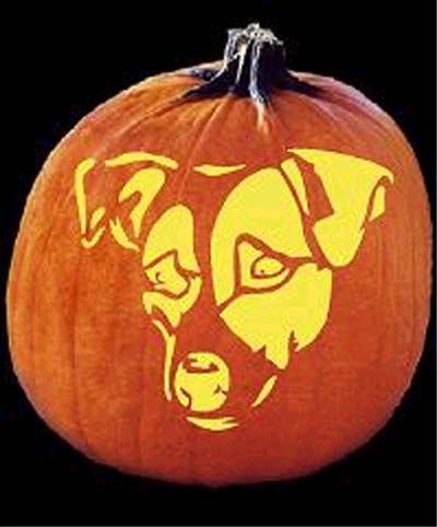 Halloween Jack O'Lantern Dog Pumpkin Carving, Pumpkin For Dogs, Jackolantern Ideas, Pumpkin Carving Pattern, Country Halloween, Dog Pumpkin, Pumpkin Template, Jack Russell Dogs, Pumpkin Carving Patterns