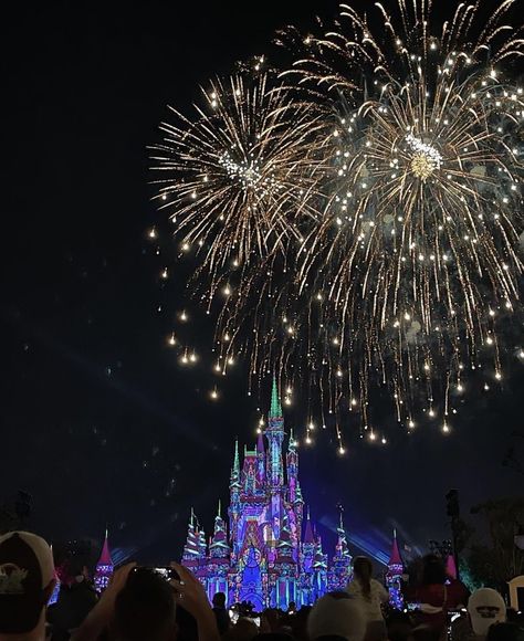 Walt Disney World Aesthetic, Magic Kingdom Aesthetic, Disneyland Pics, Disneyland Fireworks, Disney World Aesthetic, Disneyland Holidays, Orlando Photos, Disney Fireworks, Disneyland Pictures