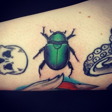 Colored Beetle Tattoo, Colorful Beetle Tattoo, Insect Tattoo Color, Green Beetle Tattoo, Japanese Beetle Tattoo, Pill Bug Tattoo, Junebug Tattoo, June Bug Tattoo, Beatle Tattoo