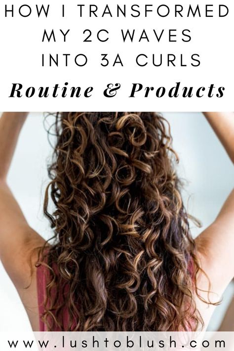 2C to 3A Curly Hair Transformation | Lush to Blush Curly Hair Transformation, Curly Hair Journey, 3a Curly Hair, Wavy Hair Tips, Wavy Hair Care, Curly Hair Care Routine, Healthy Hair Tips, Wavy Curly Hair, Curly Hair Routine