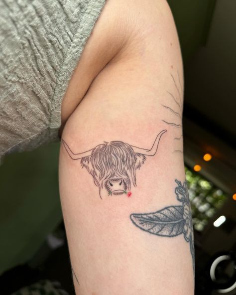 @tashcosmos_tattoo • Instagram photos and videos Small Highland Cow Tattoo, Highland Cow Tattoo Ideas, Scottish Highland Cow Tattoo, Highlander Cow Tattoo, Fluffy Cow Tattoo, Highland Cow Tattoo Simple, Scotland Tattoo Ideas, Cow Tattoo Ideas, Cow Tattoos