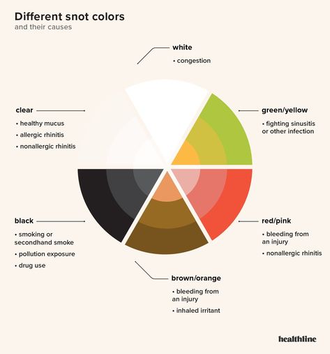 Snot Color Chart: Yellow, Green, Brown, and More Snot Color Chart Health, Mucus Color Chart, Yellow Snot, Yellow Mucus, Drawing Nose, Spongebob Quotes, Birthday Board Classroom, Board Classroom, Allergic Rhinitis