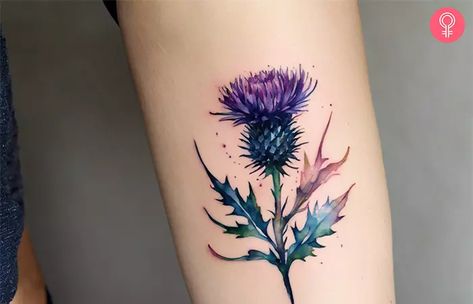 Witch Hazel Tattoo, Small Scottish Tattoos For Women, Scottish Thistle Tattoo Delicate, Scottish Tattoos For Women Scotland, Scottish Symbols And Meanings, Thistle Meaning, Scottish Heather Tattoo, Scottish Tattoos Men, Scottish Tattoo Ideas