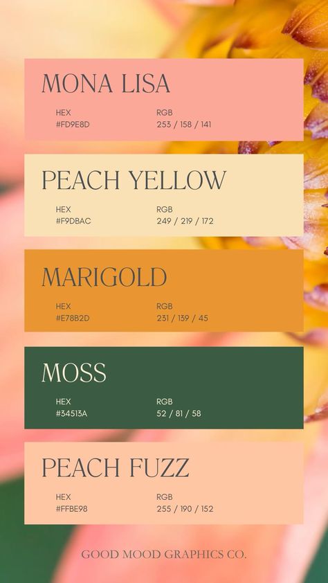 Peach Fuzz Color Palette 🍑 🎨 Good Color Matches, Mustard Yellow Pallet Colour Palettes, Vintage Pink And Green Color Palette, Banana Yellow Color Palette, Mustard Yellow And Pink Color Palette, Peach And Mustard Color Palettes, Yellow Pink Color Scheme, Mustard And Pink Colour Palettes, Yellow And Pink Color Scheme