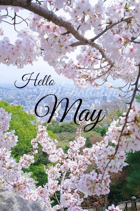 Hello May month may quotes hello may welcome may may images may image quotes May Month Quotes, Hello Mai, Hello May Quotes, New Month Quotes, Welcome May, May Quotes, Seasons Months, 1. Mai, Hello April