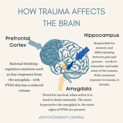 Tips for taking care of yourself and your mental health during the holiday season from Kate Heitzler & Associates, based in Northern Colorado - serving Colorado and Wyoming. Specializing in: Brainspotting, EMDR, Counseling, Families, Marriage, Recovery, and Trauma. . . . #mentalhealth #trauma #healingtrauma #healing #health #selfcare #wellbeing #emotionalhealth #therapy #relationships #childhood #family #brainchemistry #physical Psychology Notes, Psychology Studies, Brain Facts, Brain Science, Medical Knowledge, Mental And Emotional Health, Psychology Facts, Brain Health, The Brain