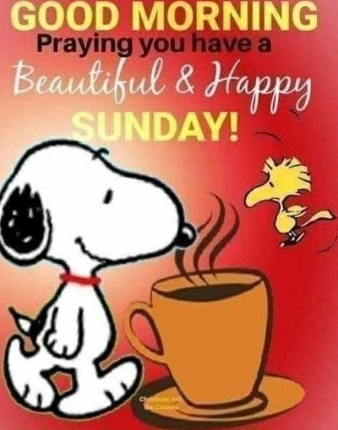 Snoopy Sunday, Cute Good Morning Pictures, Sunday Morning Wishes, Good Morning Happy Weekend, Snoopy Happy Dance, Good Day Wishes, Happy Sunday Morning, Sunday Quotes Funny, Good Morning Snoopy