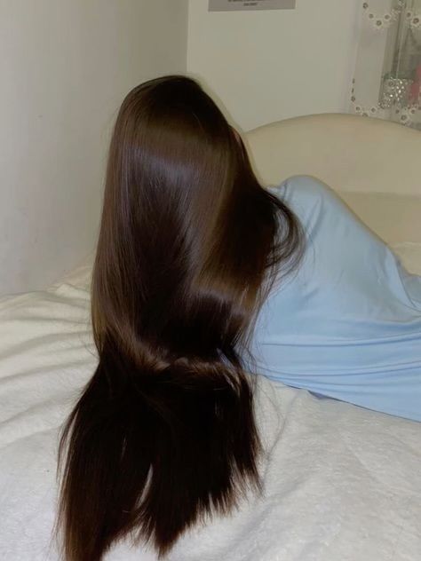 Healthy Hair Aesthetic, Shiny Brown Hair, Hairstyle Examples, Hair Aesthetic, Hairdos For Curly Hair, Inspo Pics, Hair Stylies, Work Hairstyles, Hair Stylist Life