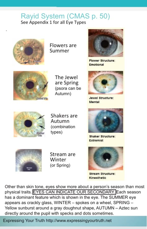 expressing your truth blog: Celebrity Eye Patterns - Updated Summer Eye Pattern, Spring Eye Pattern, Soft Summer Celebrities, Eye Types, Summer Celebrities, Soft Summer Makeup, Soft Autumn Color Palette, Soft Summer Color Palette, Summer Eyes