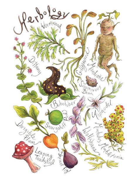 Movie Treasures By Brenda: Harry Potter Herbology Print. Ace that Hogwarts School of Witchcraft and Wizardry exam! Harry Potter Herbology, Harry Potter Plants, Magical Plants, Classe Harry Potter, Harry Potter Bedroom, Harry Potter Tattoos, Harry Potter Tattoo, Harry Potter Hufflepuff, Geniale Tattoos