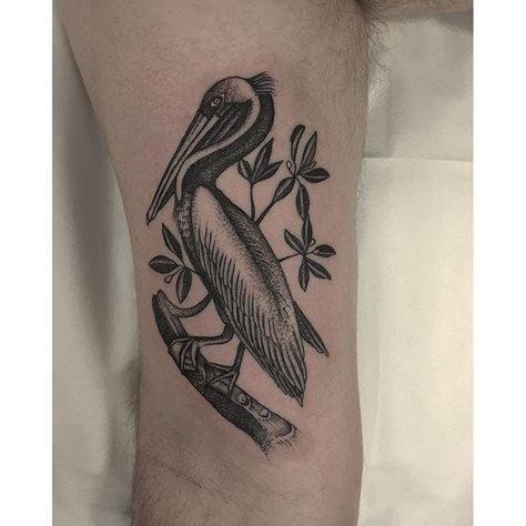 Tattoo uploaded by Robert Davies | Black and grey pelican by Justin Oliver #Pelican #bird #blackwork #JustinOliver | 14717 | Tattoodo Sister Tattoos, Louisiana Tattoo, Pelican Tattoo, Alligator Tattoo, Marine Tattoo, Hunter Tattoo, Black Bird Tattoo, Tattoo Needle, Tattoo Needles