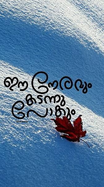 Malayalam Book Quotes, Malayalam Quotes Inspirational, Malayalam Quotes Feelings, Save Water Quotes, Malayalam Typography, Rainy Day Quotes, Quotes Malayalam, Feel Better Quotes, Water Quotes