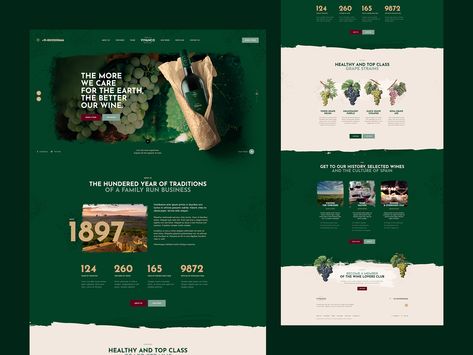 Interaktives Design, Tea Website, Landing Page Inspiration, Spain Culture, Web Layout Design, Web Layout, Website Inspiration, Website Design Inspiration, Mobile Design