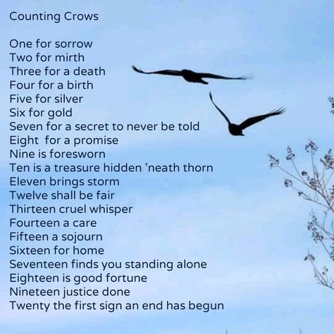 Counting Crows One For Sorrow, Counting Crows, Writing Dialogue Prompts, Writing Motivation, Writing Inspiration Prompts, Book Writing Inspiration, Writing Dialogue, Book Writing Tips, Writing Words