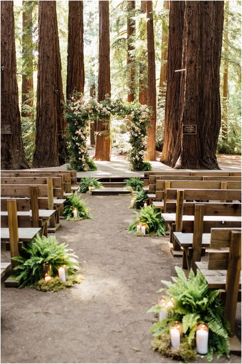 Outdoor Wedding In The Woods, Simple Wedding Venue Ideas Outdoor, Twilight Wedding Theme, Outdoor Woodsy Wedding, Woodland Ceremony, Bellas Wedding, Forest Wedding Ceremony, Twilight Wedding, Redwood Wedding