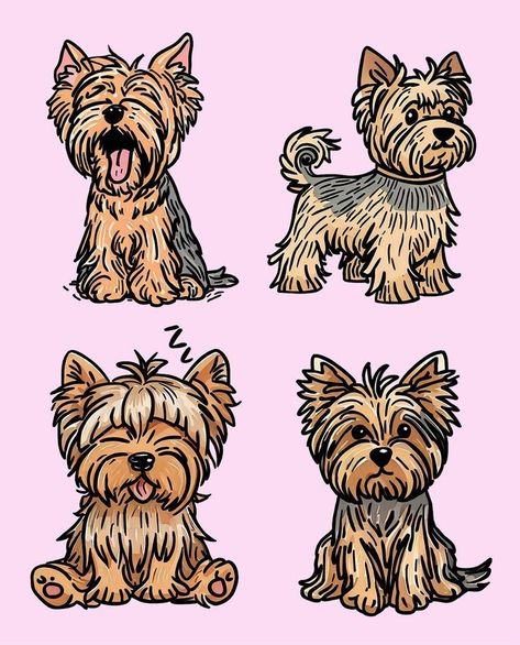 Yorkie Drawings, Yorkshire Terrier Drawing, Yorkie Drawing, Yorkie Illustration, Yorkie Clipart, Yorkie Painting, Yorkie Art, Cowboy Draw, Teddy Bear Costume