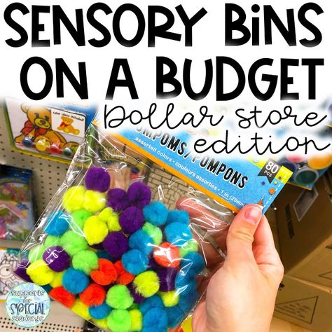 Sensory Bins Dollar Tree, Dollar Store Sensory Bins, Abc Practice, Dollar Store Finds, Curriculum Preschool, Toddler Sensory Bins, Letter Practice, Whale Birthday, Sensory Games