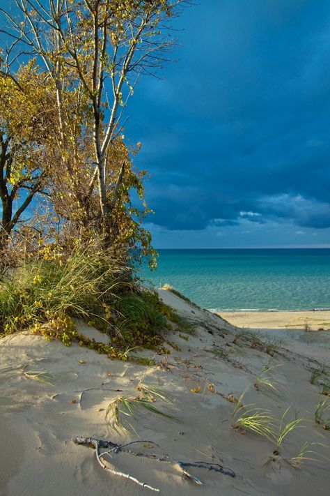 Indiana Nature, Things To Do In Indiana, Travel Indiana, Indiana Dunes State Park, Indiana Dunes National Park, Chicago Summer, Hudson River Valley, Indiana Dunes, Honeymoon Spots