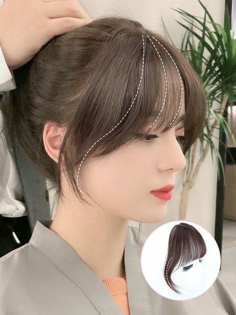 Korean Pony, Hair Style Korea, Colour Hair, Hair Inspiration Long, Bangs With Medium Hair, Hairstyles For Layered Hair, Trendy Hairstyle, Shot Hair Styles, Hair Stylies