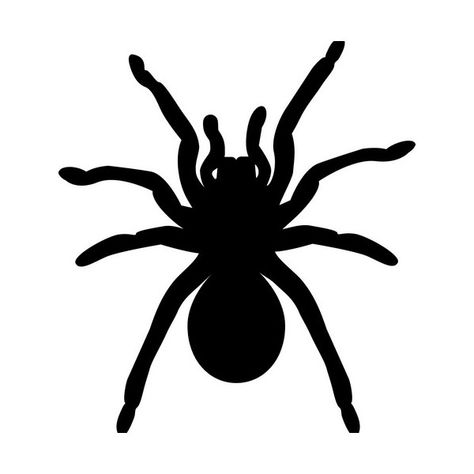 Tarantula Art Drawing, Tarantula Drawing Easy, Simple Tarantula Tattoo, Spider Cutout, Tarantula Drawing, Spider Silhouette, Tarantula Spider, Cricut Halloween, Silhouette Stencil