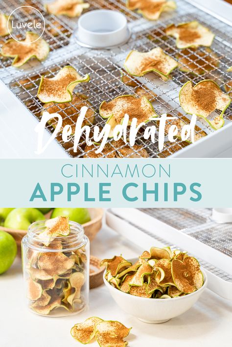 Dehydrated cinnamon apple chips - Luvele US Luvele Recipes, Apple Chips Dehydrator, Apple Chips Recipe, Homemade Yogurt Recipes, Dehydrated Apples, Cinnamon Apple Chips, Food Dehydrators, Apple Chips, Cinnamon Chips