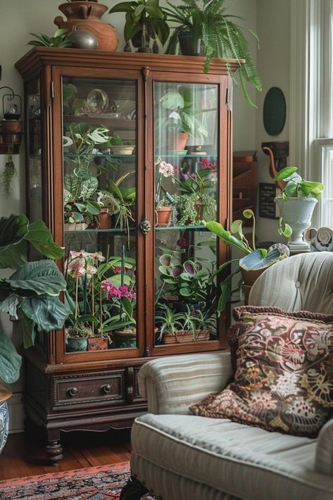 Indoor Gardening Ideas, Indoor Zen Garden, Soft Autumn Color Palette, Autumn Color Palette, Indoor Greenhouse, Green Kitchen Cabinets, Indoor Gardens, Soft Autumn, House Plants Decor