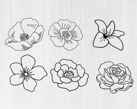 Flowers Cricut, Flowers Silhouette, Beautiful Pencil Sketches, Butterfly Line Art, Svg Flowers, Flower Svg Files, Whimsical Art Journal, Clipart Flowers, Acrylic Art Projects