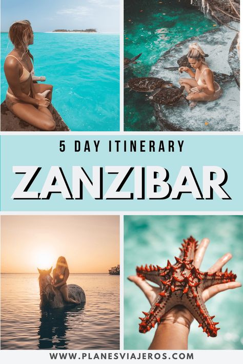 Explore the tropical paradise of Zanzibar with this fun and comprehensive travel guide 📘! From the crystal clear beaches to the vibrant local markets, you won't want to miss anything 🌍. Pin and save now for your next unforgettable adventure! 😍 Zanzibar Itinerary, Swimming With Turtles, Travel To Africa, Africa Travel Beautiful Places, Zanzibar Travel, Tanzania Travel, White Sand Beaches, Beach Boy, Tanzania Safari