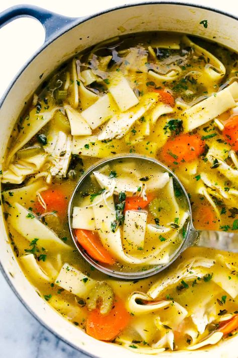 Chicken Noodle Soup Recipe Chicken Noodle Soup Can, Wide Noodles, Best Chicken Noodle Soup, Sliced Carrots, Noodles Chicken, Chicken Noodle Soup Recipe, Noodle Soup Recipe, Comforting Soup, Chicken Chunks