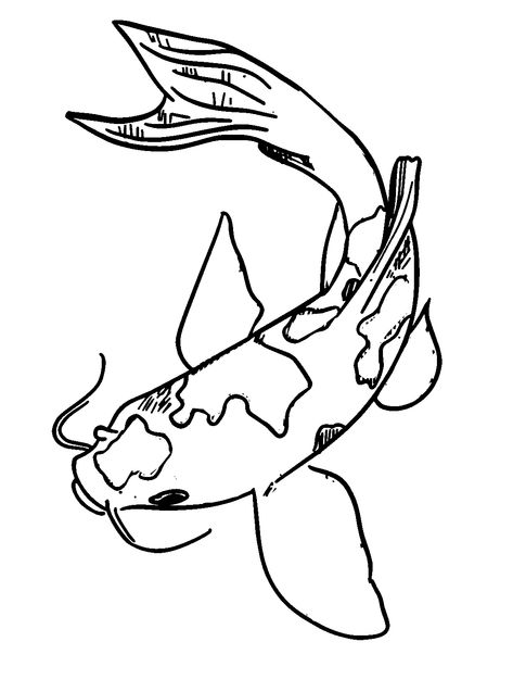 Koi Fish Koi Fish Coloring Pages, Koi Fish Outline, Koi Drawing, Koi Fish Colors, Fish Image, Fish Outline, Lol Coloring Pages, Lol Coloring, Fish Coloring