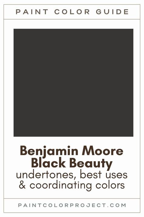 Looking for the perfect black paint color for your home? Let’s talk about Benjamin Moore Black Beauty and if it might be right for your home! Benjamin Moore Black Beauty, Benjamin Moore Black, Benjamin Moore Exterior Paint, Benjamin Moore Kitchen, Family Room Paint Colors, Interior Door Colors, Black Exterior Doors, Benjamin Moore Exterior, Black Painted Walls