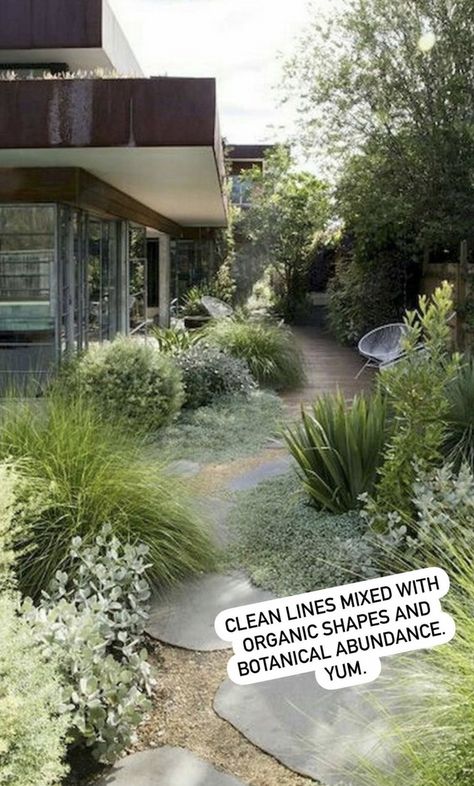 Australian Native Gardens Coastal, Front Townhouse Landscaping, New Zealand Native Garden, Simple Front Yard Landscaping Australian, Simple Front Garden Ideas Australian, Native Gardens Australia Landscaping, Garden With Pavers, Minimalist Front Yard Landscaping, Landscape Design Backyard