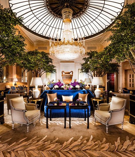 An elegant lakeside hotel in Zurich Luxury Hotels Interior, Lakeside Hotel, Landscaping On A Hill, Hotel Lobby Design, Restaurant Branding Design, Lobby Bar, Statement Chandeliers, Most Luxurious Hotels, Restaurant Architecture