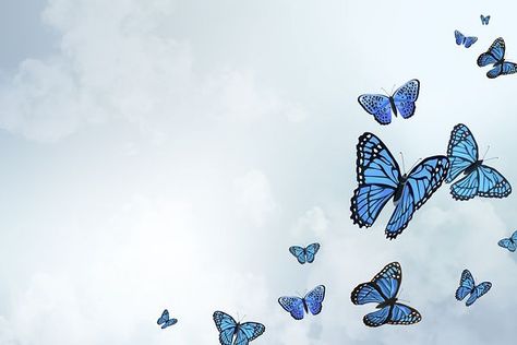 Blue Aesthetic Wallpapers For Laptop, Blue Butterfly Desktop Wallpaper, Laptop Wallpaper Butterfly Aesthetic, Blue Butterfly Wallpaper Laptop, Butterfly Pc Wallpaper, Butterfly Background Wallpapers, Laptop Wallpaper Blue Aesthetic, Blue Wallpaper Butterfly, Butterfly Blue Aesthetic