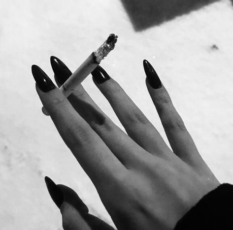 Dark Feminine Aesthetic, Black And White Aesthetic, Feminine Aesthetic, Black Swan, White Aesthetic, Black Aesthetic, Dark Aesthetic, Dark Black, بلاك بينك