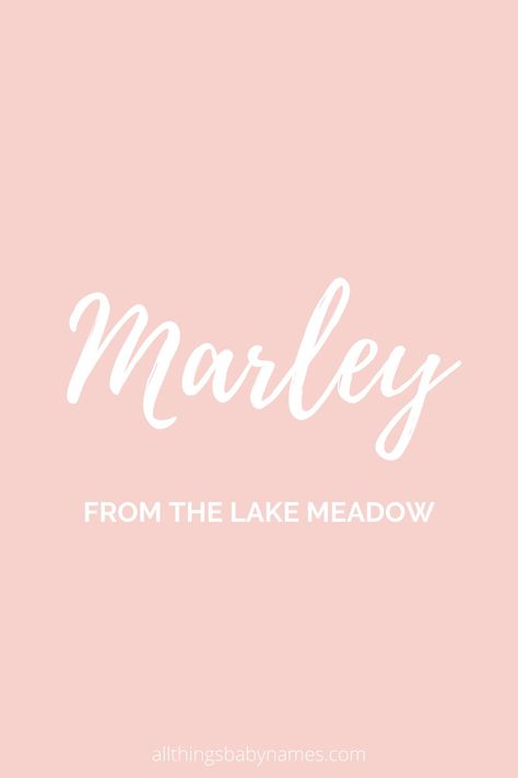 Marley name meaning, origin and more. View our database of thousands of baby names and curated name lists to help you find the perfect name for your baby. Marley Name Meaning, Marley Name, Marley Core, Twin Baby Names, Baby Shopping List, Old Fashioned Baby Names, Country Baby Names, Hipster Baby Names, Vintage Baby Names