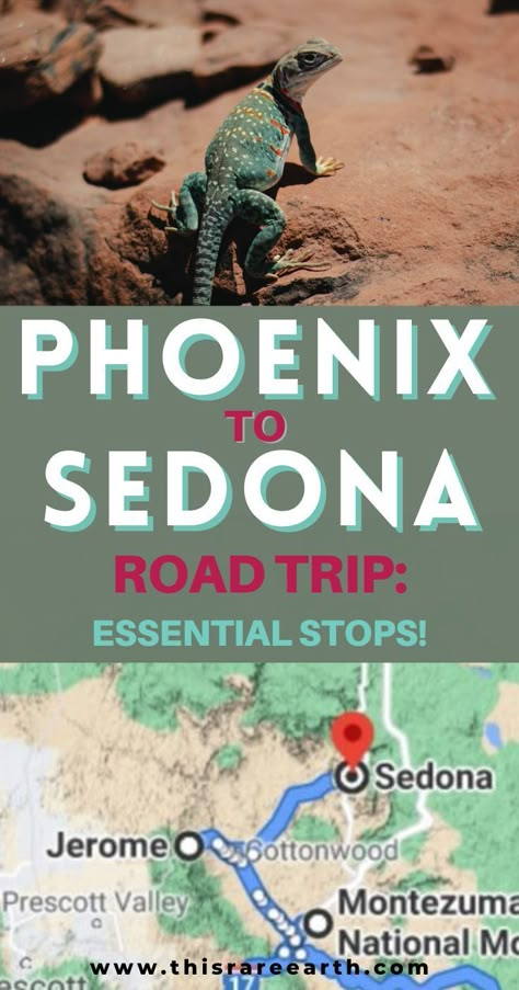 A lizard in Sedna and a map of Arizona. Drive From Phoenix To Sedona, Phoenix To Grand Canyon Road Trip, Sedona Arizona Picture Ideas, Phoenix To Sedona Road Trip, Sedona Arizona Things To Do In, Sedona Road Trip, Arizona Spring Break, Sedona Things To Do, Phoenix To Sedona